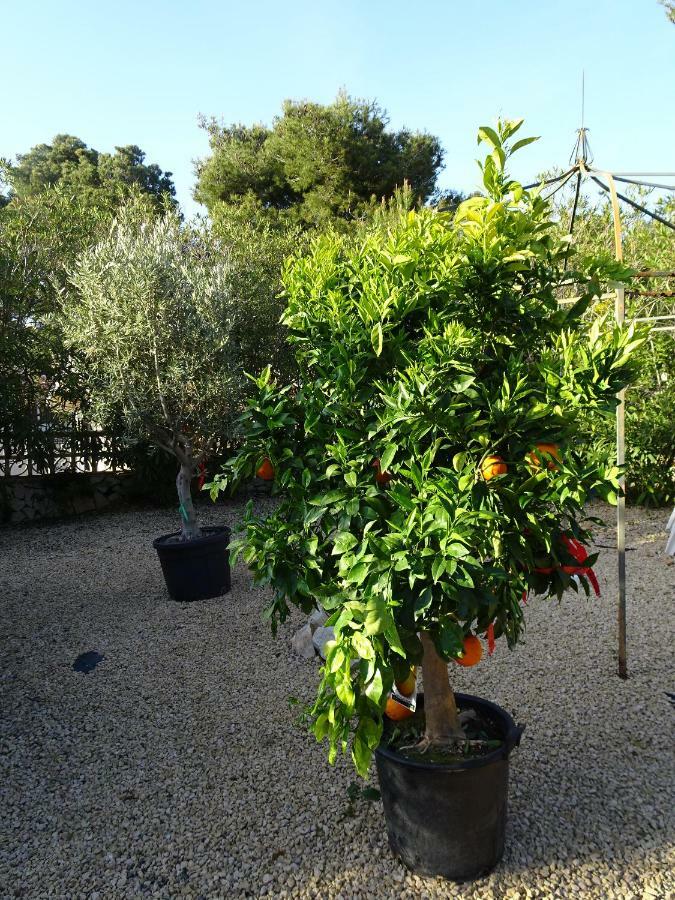 Casa Andaluz Holiday Villa Javea Luaran gambar